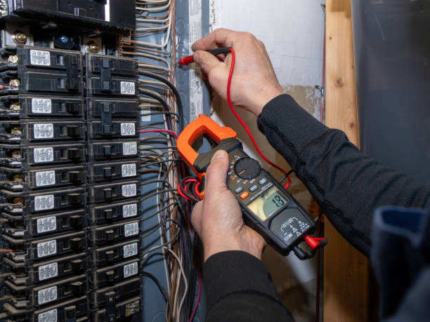 Best Residential Electrician Services  in Wyandotte, MI